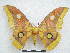  ( - PD-BC 2846)  @13 [ ] Copyright (2010) Unspecified Research Collection of Philippe Darge