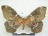  ( - PD-BC 2854)  @14 [ ] Copyright (2010) Unspecified Research Collection of Philippe Darge