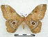  ( - PD-BC 2855)  @13 [ ] Copyright (2010) Unspecified Research Collection of Philippe Darge