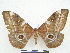  ( - PD-BC 2856)  @13 [ ] Copyright (2010) Unspecified Research Collection of Philippe Darge