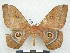 ( - PD-BC 2858)  @13 [ ] Copyright (2010) Unspecified Research Collection of Philippe Darge