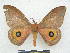  ( - PD-BC 2862)  @14 [ ] Copyright (2010) Unspecified Research Collection of Philippe Darge