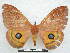  ( - PD-BC 2864)  @13 [ ] Copyright (2010) Unspecified Research Collection of Philippe Darge