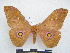  ( - PD-BC 2897)  @14 [ ] Copyright (2010) Unspecified Research Collection of Philippe Darge