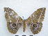  ( - PD-BC 2902)  @13 [ ] Copyright (2010) Unspecified Research Collection of Philippe Darge