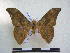  ( - PD-BC 2393)  @13 [ ] Copyright (2010) Unspecified Research Collection of Philippe Darge