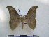  ( - PD-BC 2395)  @14 [ ] Copyright (2010) Unspecified Research Collection of Philippe Darge