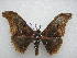 ( - PD-BC 2463)  @14 [ ] Copyright (2010) Unspecified Research Collection of Philippe Darge
