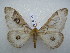  ( - PD-BC 2488)  @13 [ ] Copyright (2010) Unspecified Research Collection of Philippe Darge