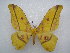  ( - PD-BC 2513)  @14 [ ] Copyright (2010) Unspecified Research Collection of Philippe Darge