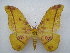  ( - PD-BC 2514)  @14 [ ] Copyright (2010) Unspecified Research Collection of Philippe Darge