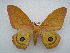  ( - PD-BC 2532)  @11 [ ] Copyright (2010) Unspecified Research Collection of Philippe Darge