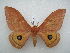  ( - PD-BC 2533)  @11 [ ] Copyright (2010) Unspecified Research Collection of Philippe Darge