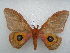  ( - PD-BC 2538)  @14 [ ] Copyright (2010) Unspecified Research Collection of Philippe Darge