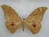  ( - PD-BC 2548)  @14 [ ] Copyright (2010) Unspecified Research Collection of Philippe Darge
