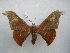  ( - PD-BC 2566)  @13 [ ] Copyright (2010) Unspecified Research Collection of Philippe Darge