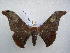  ( - PD-BC 2567)  @13 [ ] Copyright (2010) Unspecified Research Collection of Philippe Darge