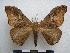  ( - PD-BC-1367)  @14 [ ] Copyright (2010) Unspecified Research Collection of Philippe Darge