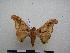  ( - PD-BC-1424)  @14 [ ] Copyright (2010) Unspecified Research Collection of Philippe Darge