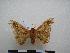 ( - PD-BC-1425)  @13 [ ] Copyright (2010) Unspecified Research Collection of Philippe Darge