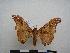  ( - PD-BC-1428)  @14 [ ] Copyright (2010) Unspecified Research Collection of Philippe Darge