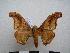  ( - PD-BC-1430)  @13 [ ] Copyright (2010) Unspecified Research Collection of Philippe Darge