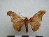  ( - PD-BC-1435)  @14 [ ] Copyright (2010) Unspecified Research Collection of Philippe Darge
