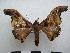  ( - PD-BC-1439)  @14 [ ] Copyright (2010) Unspecified Research Collection of Philippe Darge