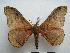  ( - PD-BC-1378)  @13 [ ] Copyright (2010) Unspecified Research Collection of Philippe Darge