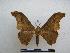  ( - PD-BC-1398)  @14 [ ] Copyright (2010) Unspecified Research Collection of Philippe Darge