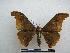  ( - PD-BC-1399)  @14 [ ] Copyright (2010) Unspecified Research Collection of Philippe Darge