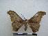  ( - PD-BC-1414)  @13 [ ] Copyright (2010) Unspecified Research Collection of Philippe Darge