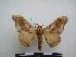  ( - PD-BC-1444)  @13 [ ] Copyright (2010) Unspecified Research Collection of Philippe Darge
