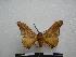  ( - PD-BC-1447)  @14 [ ] Copyright (2010) Unspecified Research Collection of Philippe Darge
