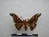  ( - PD-BC-1457)  @14 [ ] Copyright (2010) Unspecified Research Collection of Philippe Darge