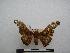  ( - PD-BC-1459)  @14 [ ] Copyright (2010) Unspecified Research Collection of Philippe Darge