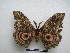  ( - PD-BC-1538)  @14 [ ] Copyright (2010) Unspecified Research Collection of Philippe Darge