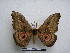  ( - PD-BC-1550)  @14 [ ] Copyright (2010) Unspecified Research Collection of Philippe Darge