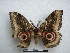  ( - PD-BC-1577)  @12 [ ] Copyright (2010) Unspecified Research Collection of Philippe Darge