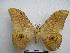  ( - PD-BC-1589)  @14 [ ] Copyright (2010) Unspecified Research Collection of Philippe Darge