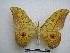 ( - PD-BC-1599)  @14 [ ] Copyright (2010) Unspecified Research Collection of Philippe Darge