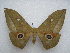  ( - PD-BC 2658)  @13 [ ] Copyright (2010) Unspecified Research Collection of Philippe Darge
