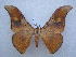  ( - PD-BC 2663)  @14 [ ] Copyright (2010) Unspecified Research Collection of Philippe Darge