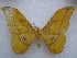  ( - PD-BC 2674)  @14 [ ] Copyright (2010) Unspecified Research Collection of Philippe Darge