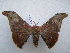  ( - PD-BC 2678)  @13 [ ] Copyright (2010) Unspecified Research Collection of Philippe Darge