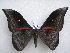  ( - PD-BC 2685)  @15 [ ] Copyright (2010) Unspecified Research Collection of Philippe Darge