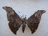  ( - PD-BC 2698)  @13 [ ] Copyright (2010) Unspecified Research Collection of Philippe Darge