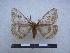  ( - PD-BC-2073)  @13 [ ] Copyright (2010) Unspecified Research Collection of Philippe Darge