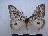  ( - PD-BC-2085)  @14 [ ] Copyright (2010) Unspecified Research Collection of Philippe Darge