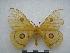  ( - PD-BC-2162)  @13 [ ] Copyright (2010) Unspecified Research Collection of Philippe Darge